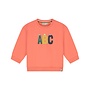 baby boys sweatshirt | 27475