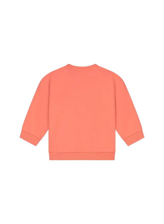 baby boys sweatshirt | 27475