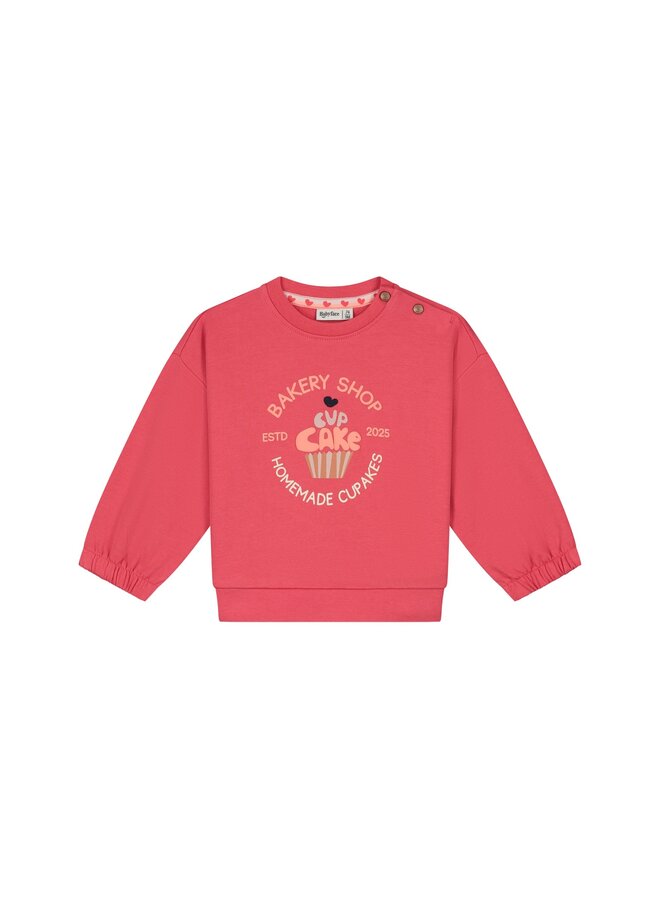 baby girls sweatshirt | 28420