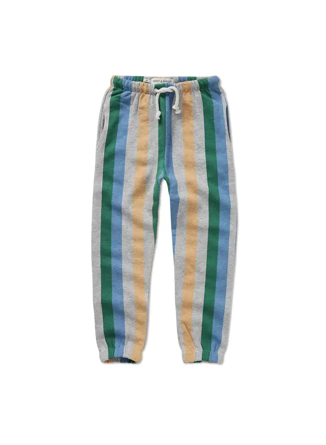 Sweatpants multicolour stripe