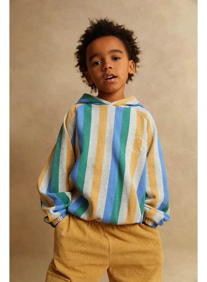 Sweatshirt hoody stripes