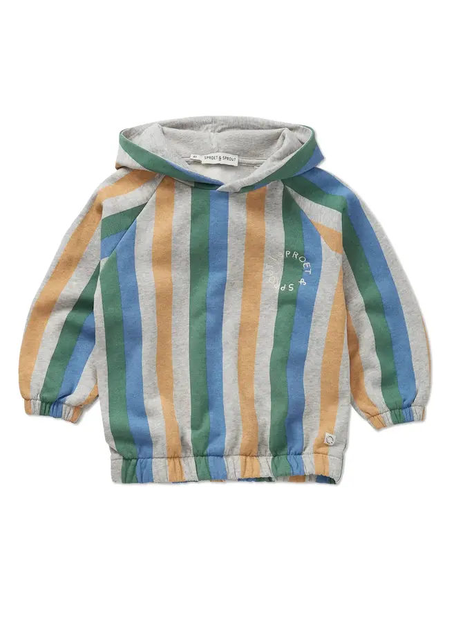 Sweatshirt hoody stripes