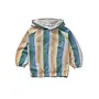 Sweatshirt hoody stripes