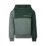 Hoodie Green gables