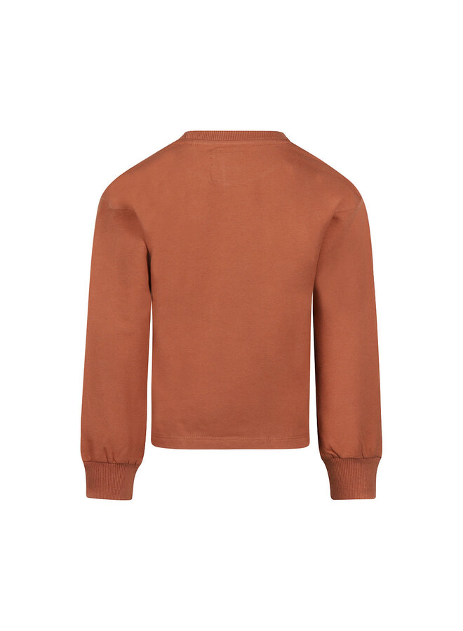 Sweater, loose fit Cedar wood