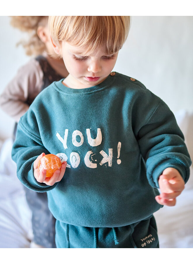 FLEECE SWEATER FIBER