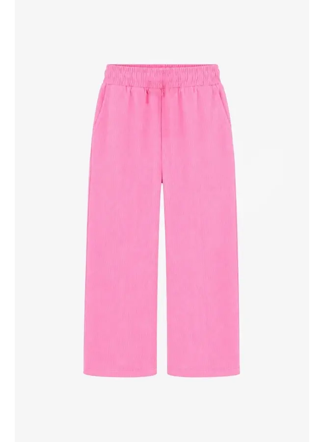 The New Chapter Atlas trousers