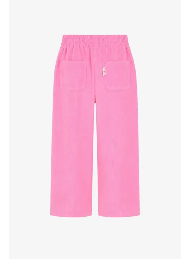 The New Chapter Atlas trousers