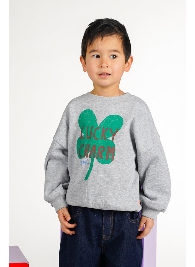 The New Chapter Billie Sweater Grey Melee
