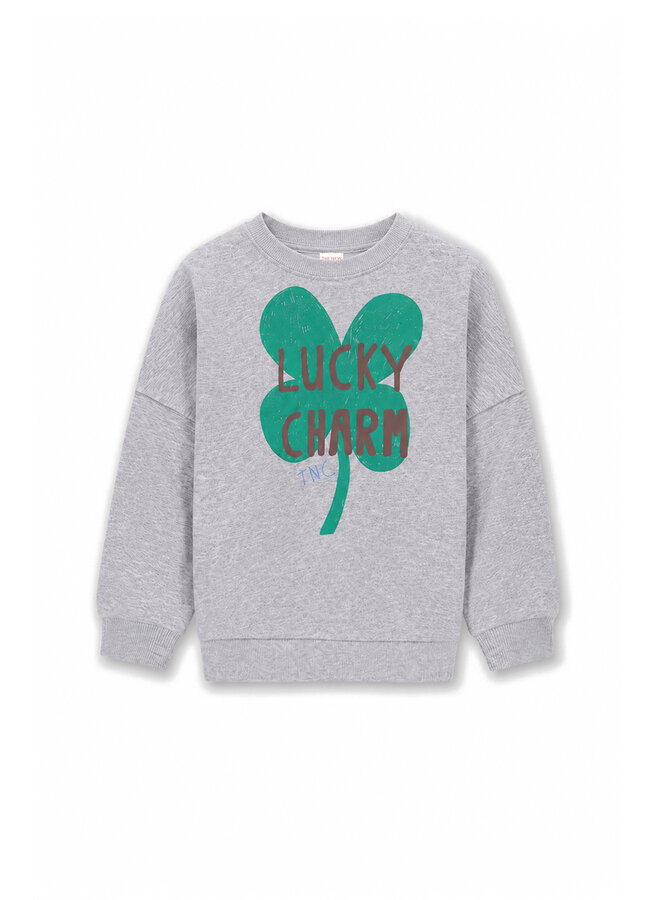 The New Chapter Billie Sweater Grey Melee