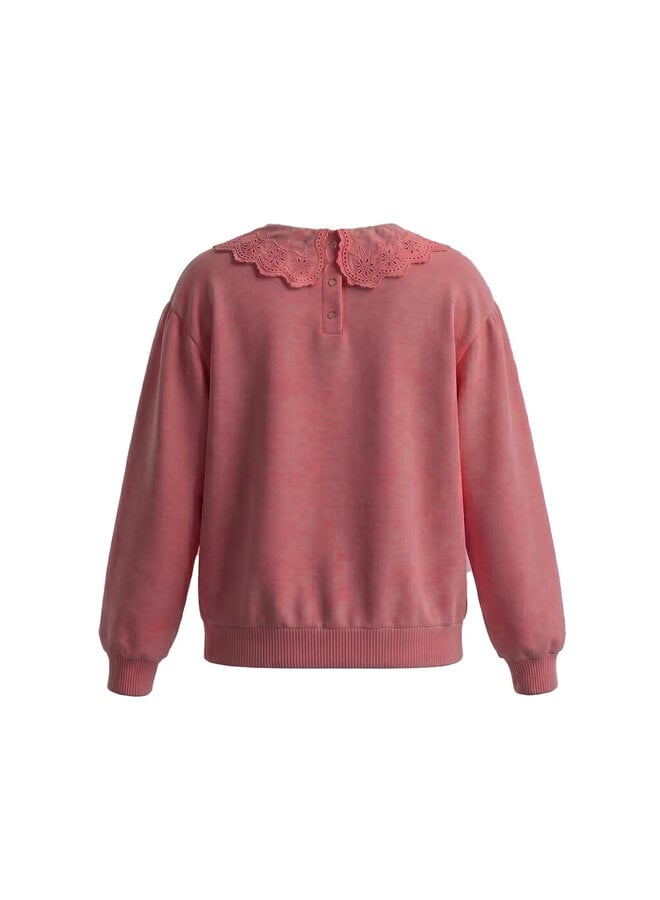 French Knit | Collar Sweater