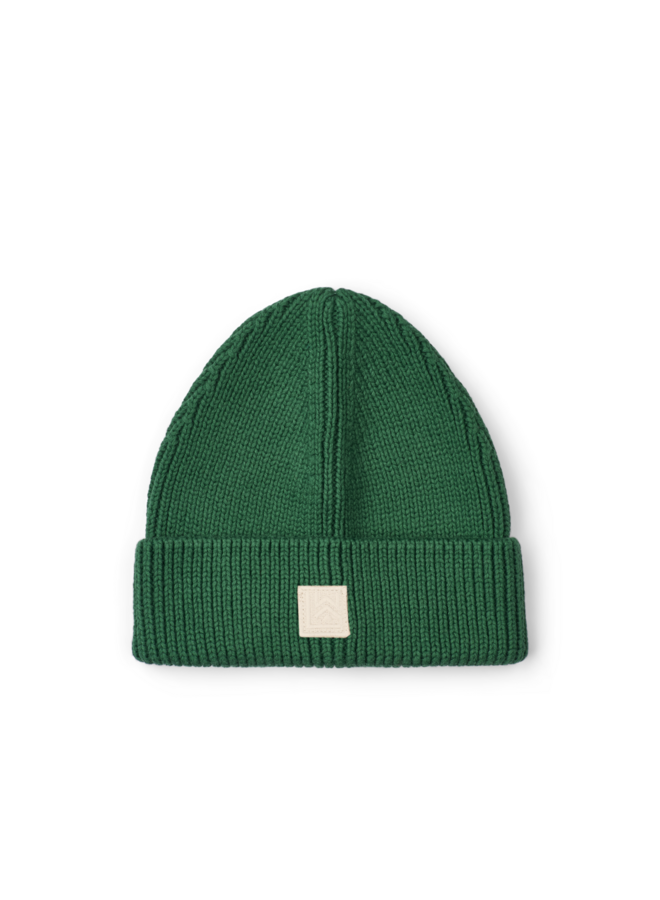 Ezra Beanie Hat | Garden Green