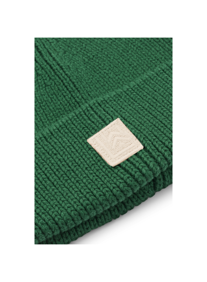 Ezra Beanie Hat | Garden Green
