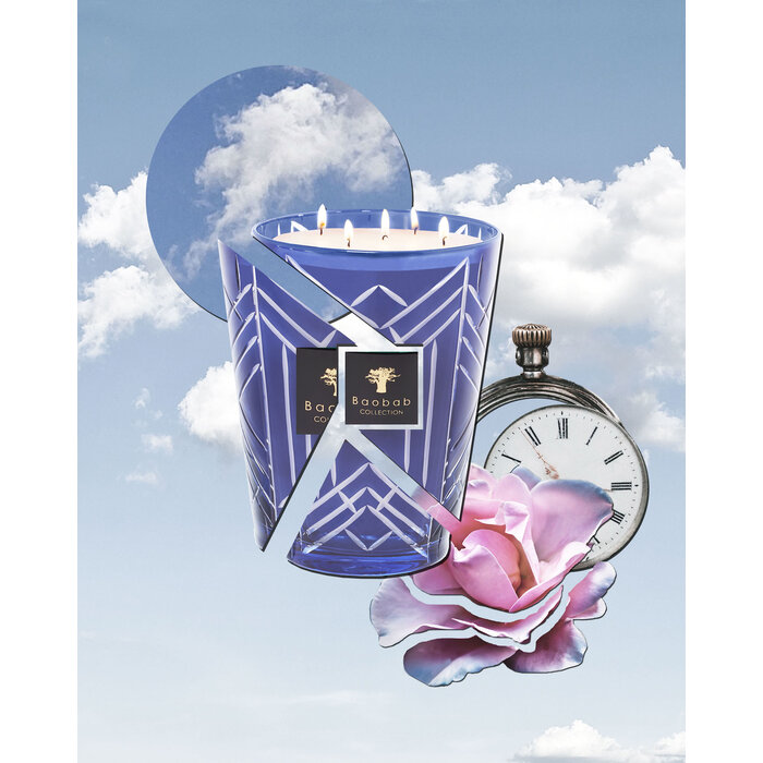 Baobab Collection Geurkaars High Society Swann Max 10