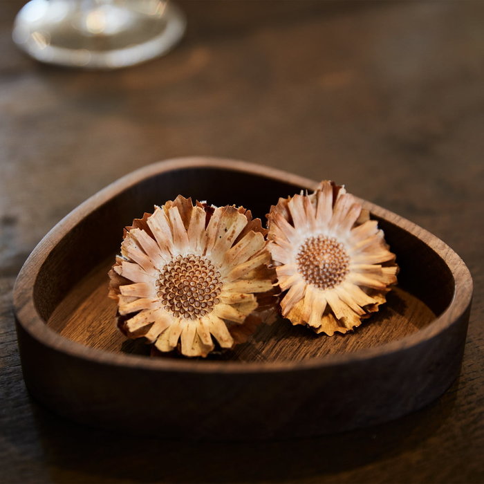 LIND DNA Wood Box Curve S