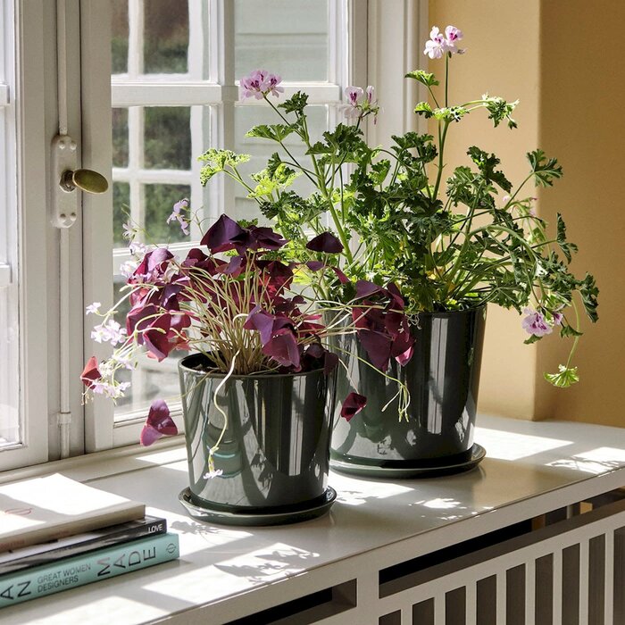 HAY Botanical Family Set Dusty Green