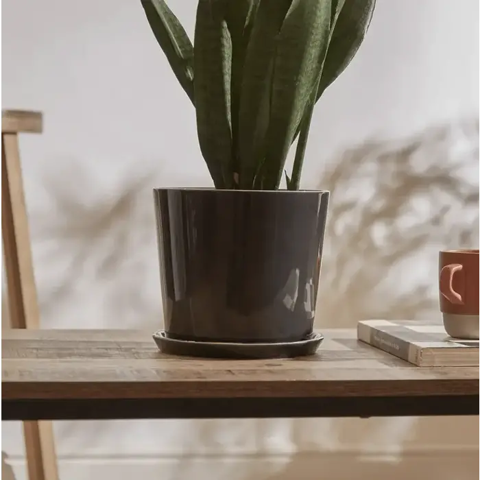 HAY Botanical Family Set Dusty Green