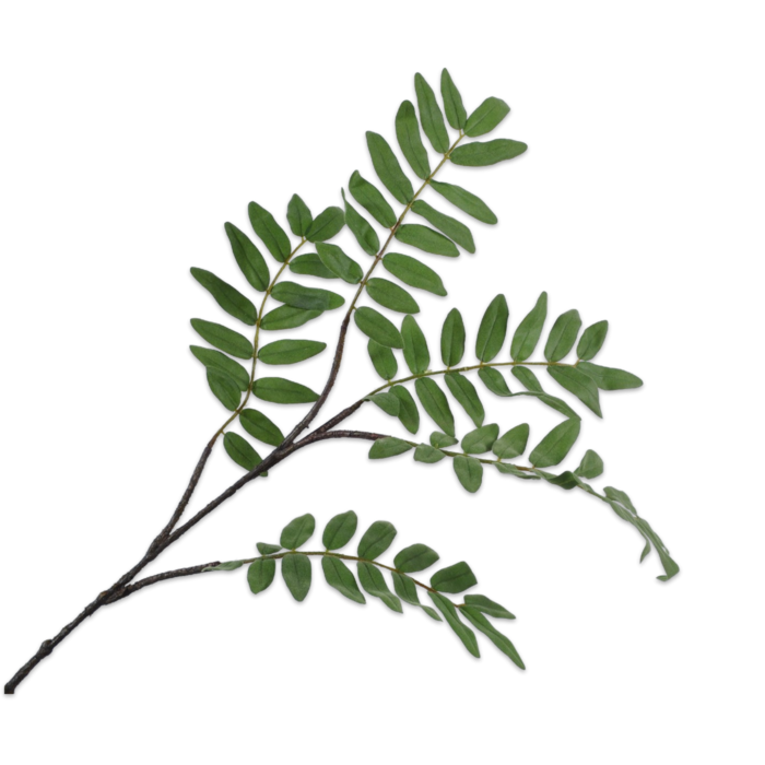 Silk-ka Varen Tak Groen 120 cm