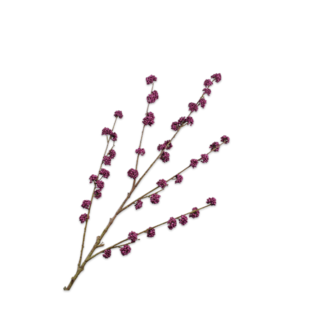 Silk-ka Callicarpa Tak Lavend 135 cm