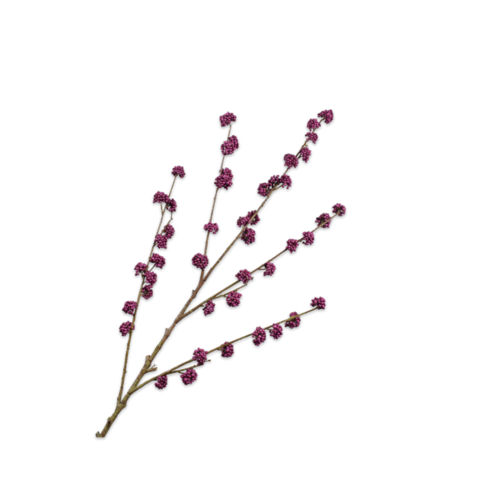 Silk-ka Callicarpa Tak Lavend 135 cm