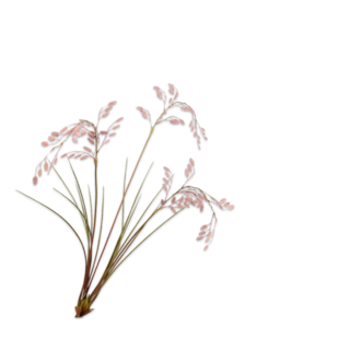 Silk-ka Gras Tak Roze 102 cm