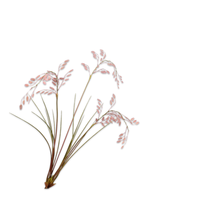 Silk-ka Gras Tak Roze 102 cm