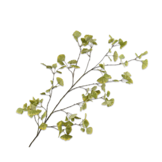 Silk-ka Ginkgo Tak Grn LT 120 cm