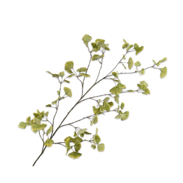 Silk-ka Ginkgo Tak Grn LT 120 cm