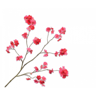 Silk-ka Bloesem Tak Beauty 127 cm