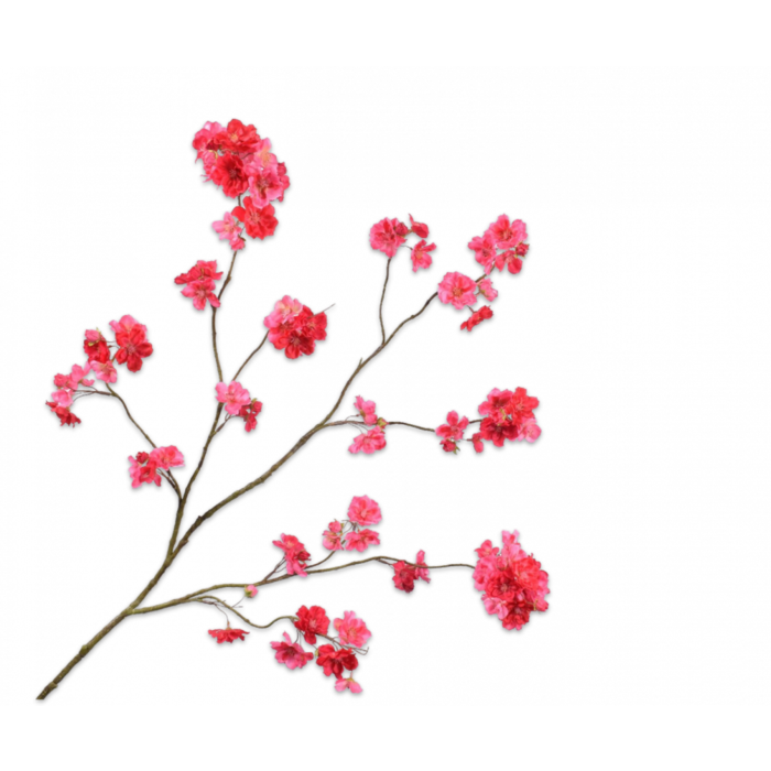 Silk-ka Bloesem Tak Beauty 127 cm