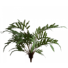 Varenbeuk - Bush Groen 112 cm
