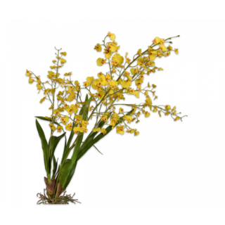 Silk-ka Oncidium Tak Geel 84 cm