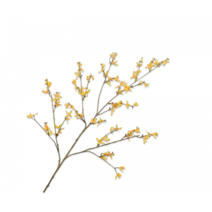 Silk-ka Forsynthia Tak Geel 120 cm