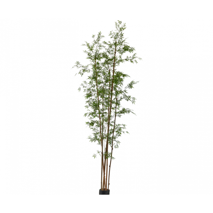 Silk-ka Plant Bamboe Groen 245 cm