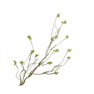 Silk-ka Mos Tak Groen 98 cm