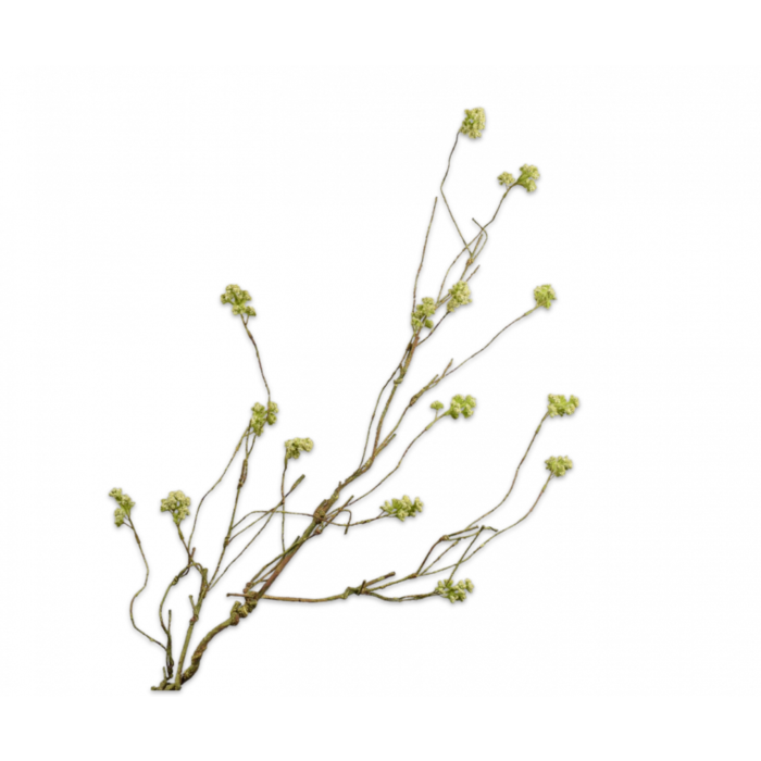 Silk-ka Mos Tak Groen 98 cm