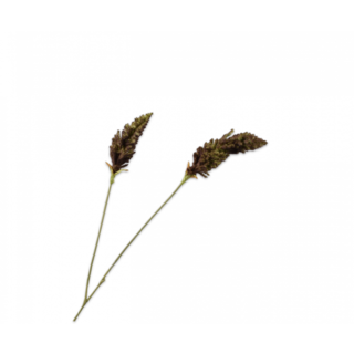 Silk-ka Gras Tak Donkergroen 107 cm