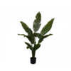 Strelitzia Groen 150 cm