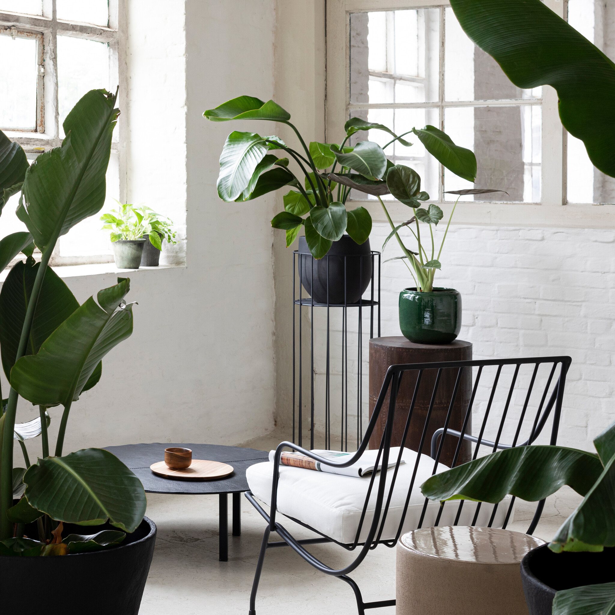 VyGrow 4-laags plantenstandaard met wielen, plantenplank voor binnen en buiten, zware metalen hoge plantenstandaards voor woonkamer, balkon en tuin, zwart