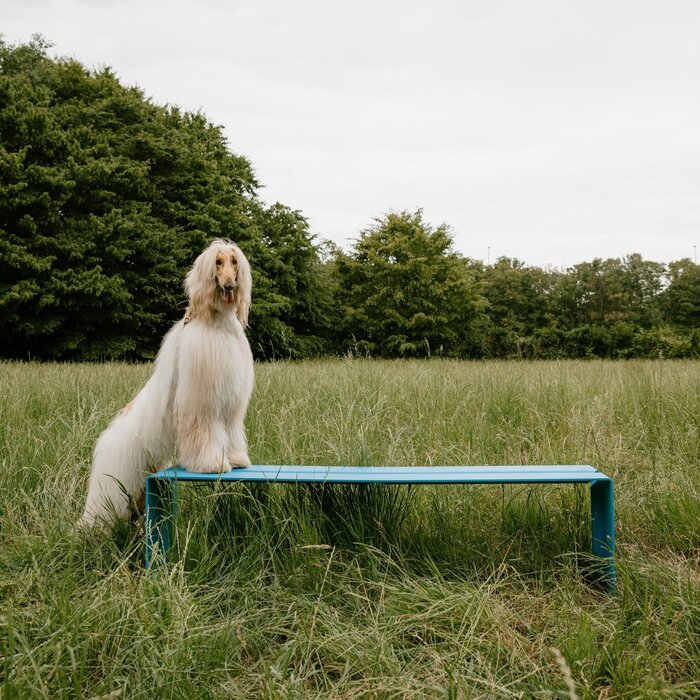 Wünder Bended The Bench