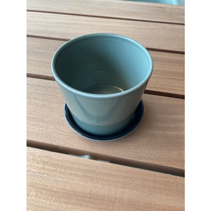 HAY Botanical Family Set Dusty Green