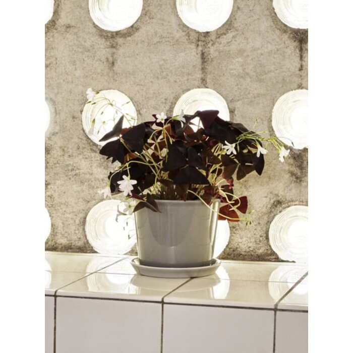 HAY Botanical Family Set Dusty Green