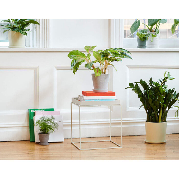 HAY Botanical Family Set Dusty Green