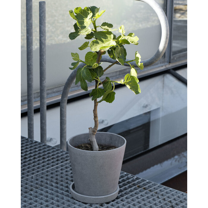 HAY Flowerpot with Saucer