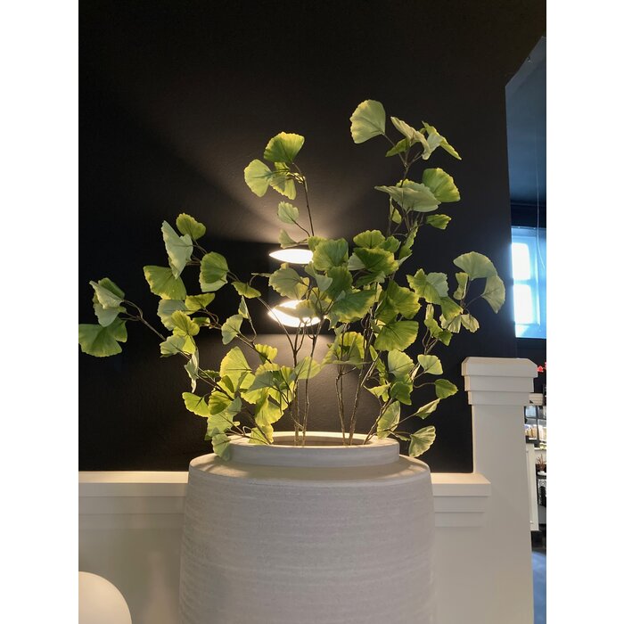 Silk-ka Ginkgo Tak Grn LT 120 cm