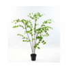 Plant Groen 152 cm