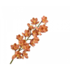 Cymbidium Steel Oranje/Geel 114 cm