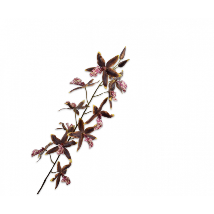 Silk-ka Oncidium Steel Groen/Bruin 109 cm