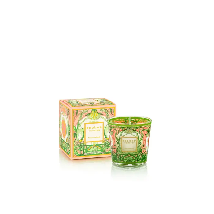 Baobab Collection Geurkaars My First Baobab Tomorrowland 2024