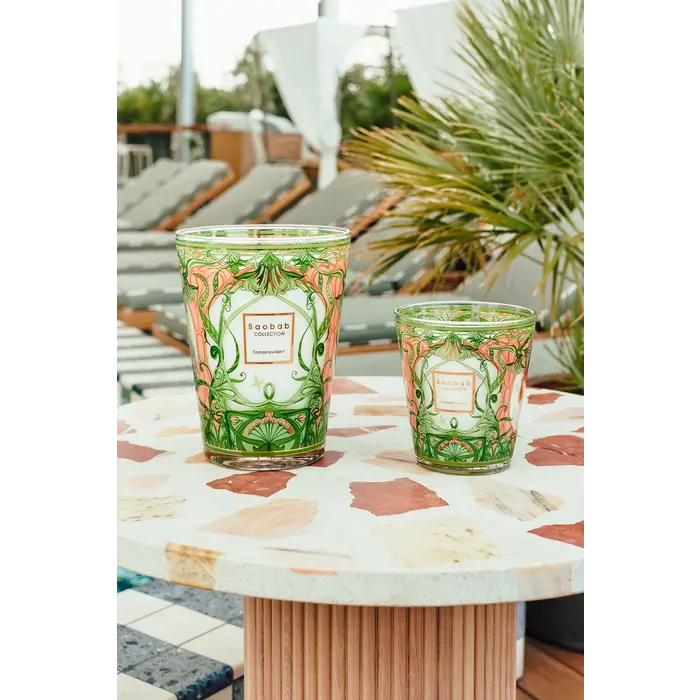 Baobab Collection Geurkaars Tomorrowland 2024 Max 10
